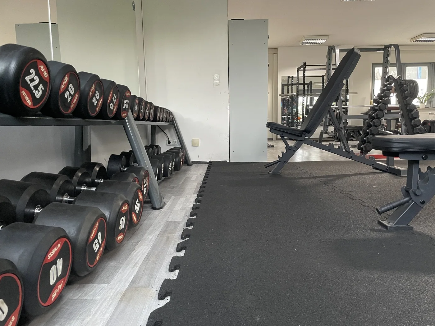 Kurzhantelbereich mit Hantelablage und Trainingsbänken