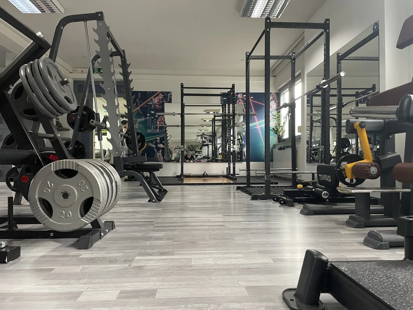 Freihantelbereich mit Racks und Spiegelfront